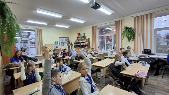 сова6
